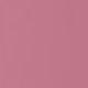 The Gloss No Transfer - Petal 02