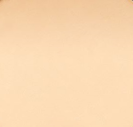 Double Wear Powder Foundation SPF10 - Desert Beige 2N1