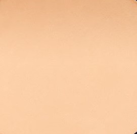 Double Wear Powder Foundation SPF10 - Ivory Beige 3N1