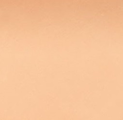 Double Wear Powder Foundation SPF10 - Outdoor Beige 4C1