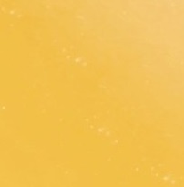 Lifter Gloss - Honey 026