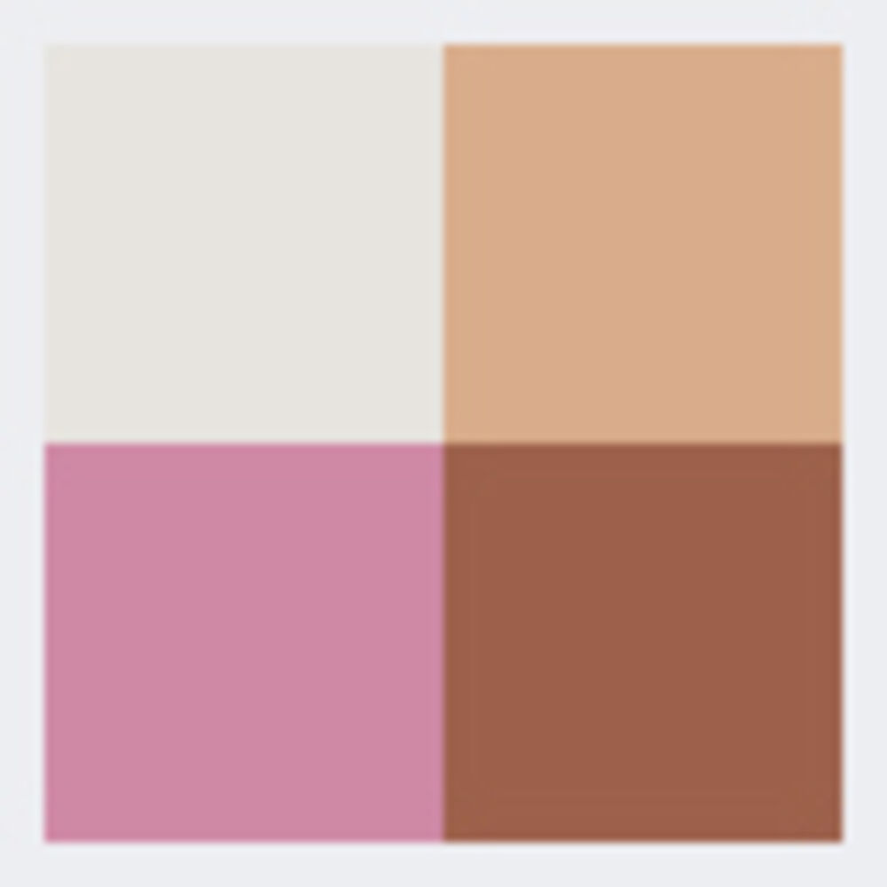Dior Backstage Glow Maximizer Palette - Universal Glow 001