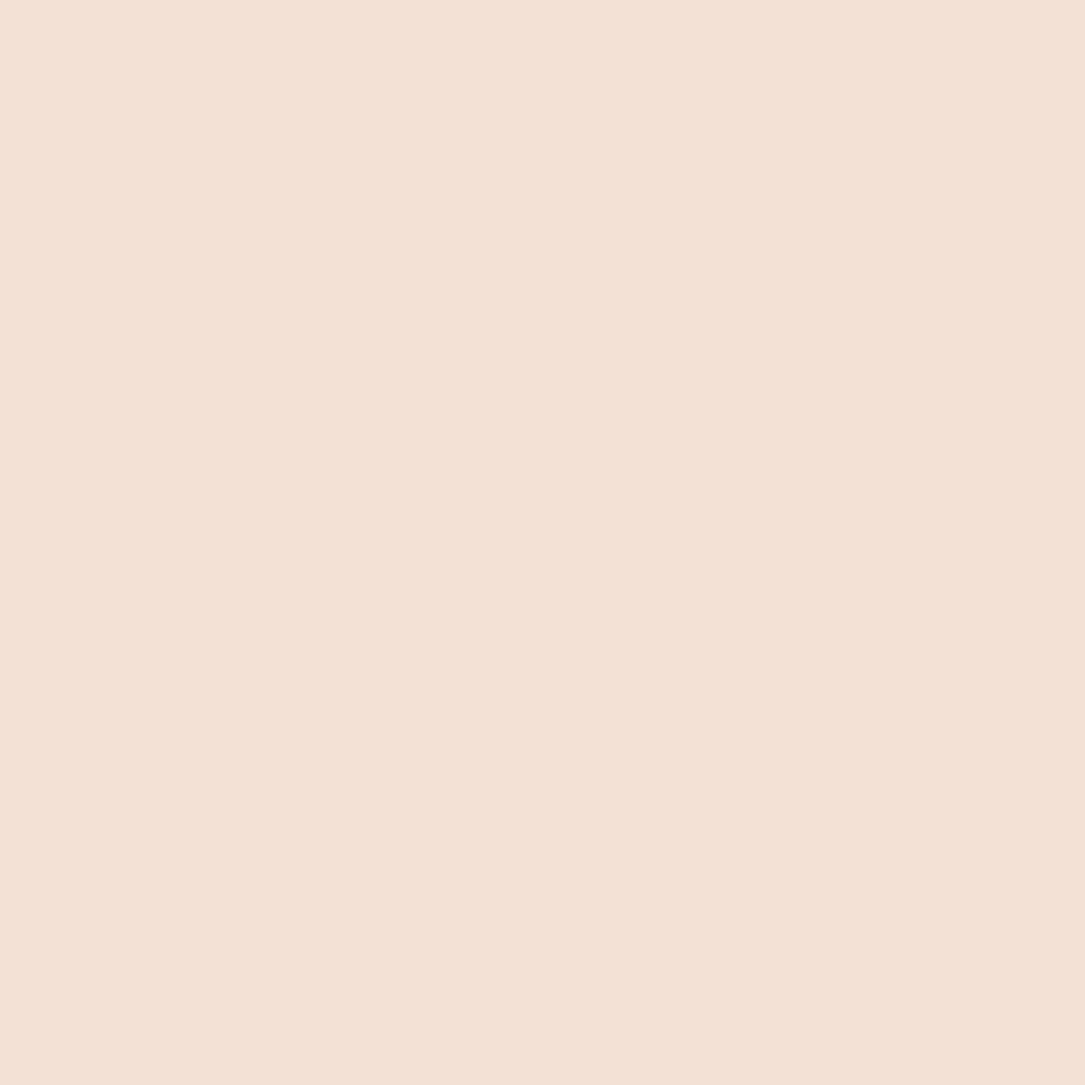 Dior Forever Nude Matte Filter - Fair 01