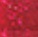 Pennyblack - Rossetto Fluido Trasformista - Glimmering Red 003