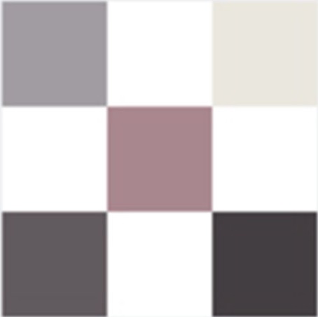 DIORSHOW Palette 5 Couleurs - Pied-de-Poule 073