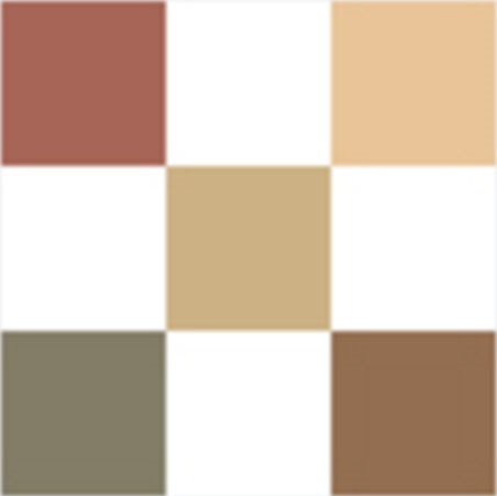 DIORSHOW Palette 5 Couleurs - Khaki 343