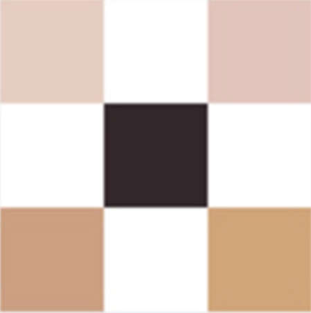 DIORSHOW Palette 5 Couleurs - Grand Bal 539