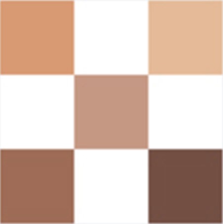 DIORSHOW Palette 5 Couleurs - Poncho 559