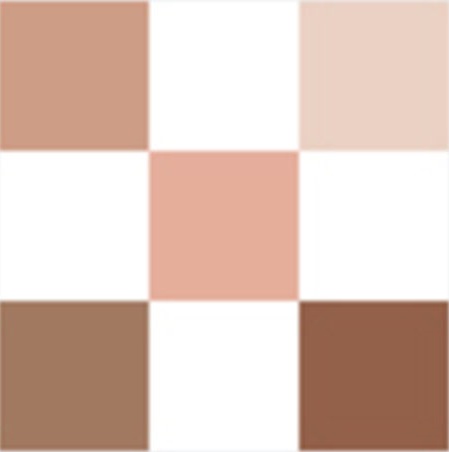 DIORSHOW Palette 5 Couleurs - Nude Dress 649