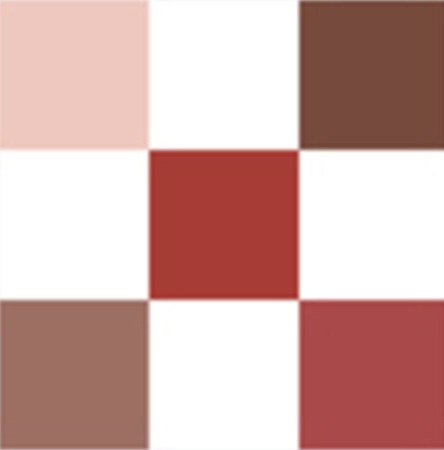 DIORSHOW Palette 5 Couleurs - Red Tartan 673