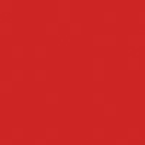 Rouge Dior Rossetto – Comfort E Lunga Tenuta – Trattamento Floreale Idratante - Red Smile Finish Satin 080