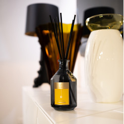 In-Fusion Refill -...