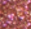 Shock Plump Bling Bling - Gloss Labbra Volumizzante Istantaneo Effetto Scintillante - 24 Carat Choco 014