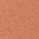 Skinfinish Colourstruck Blush - Coppertone