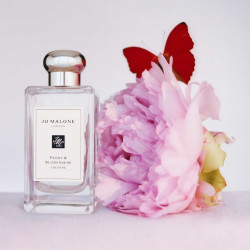 Peony & Blush Suede Cologne...
