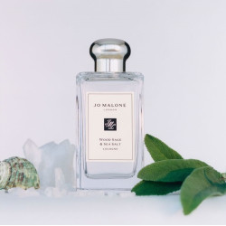 Wood Sage & Sea Salt...