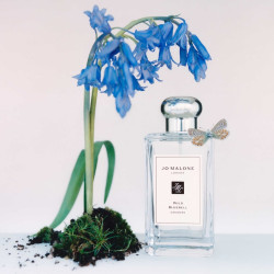 Wild Bluebell Cologne 100ml