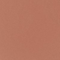 ROUGE COCO HYDRA GLOSS - GLOSS IDRATANTE E LEVIGANTE ULTRA-BRILLANTE - ACCESSOIRE 442