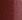 Cupid`s Arrow Micro - Red Foliage Shimmer