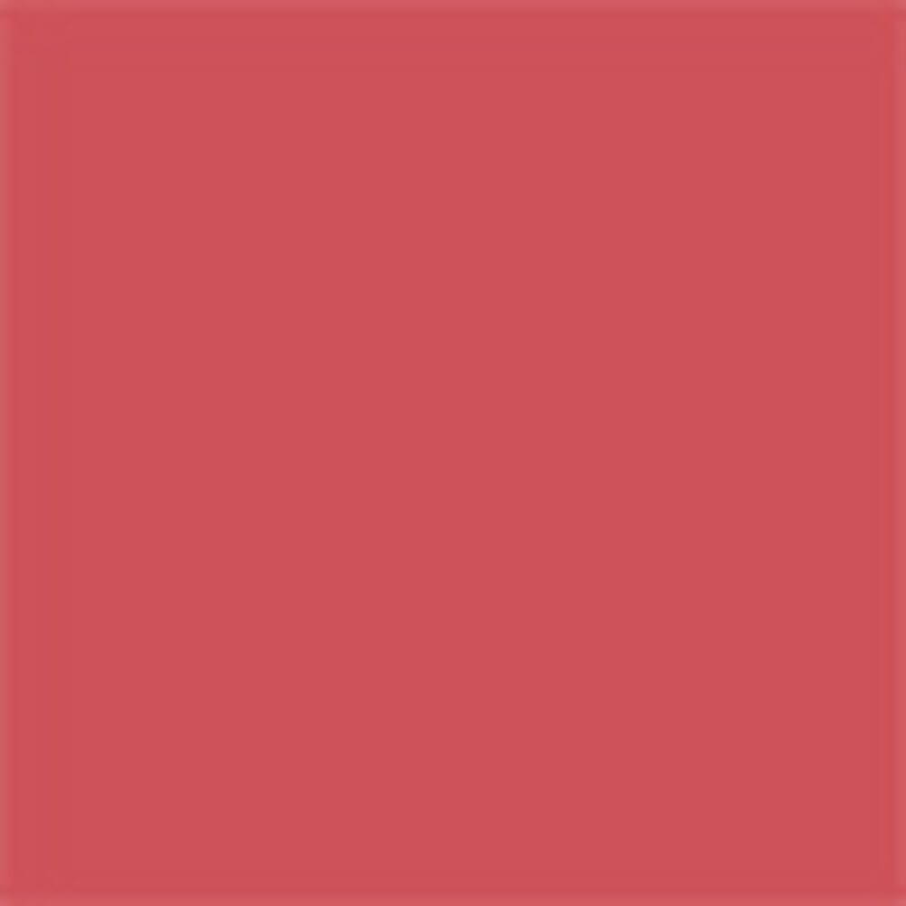 Rouge Dior On Stage Ink Blur Matte - Pink Charisma 458