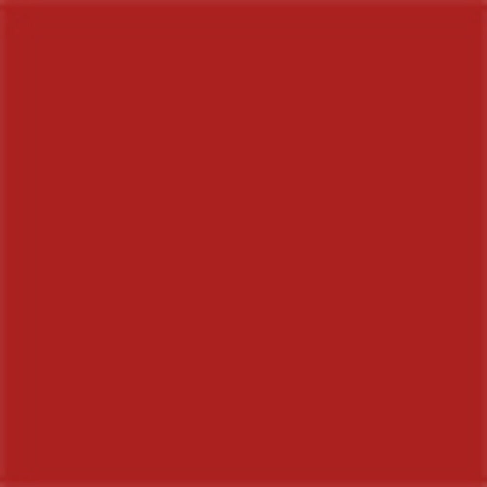 Rouge Dior On Stage Ink Blur Matte - Bold in Red 861