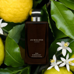 Oud & Bergamot Cologne...